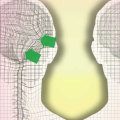 Craniosacral Therapy Techniques: An Overview